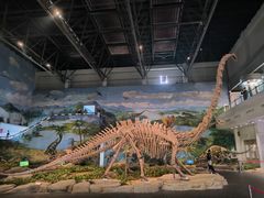 -自贡恐龙博物馆