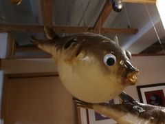 -玄品河豚(那覇國際通里之関)