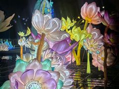 -厦门园林博览苑