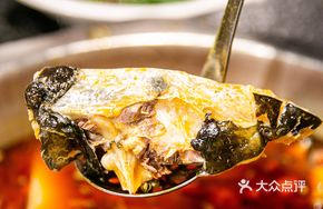 Frog and Fish Head Hot Pot
