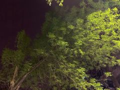 -健康路夜市