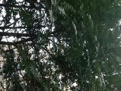 -大妙火锅·非物质文化遗产(东湖公园店)