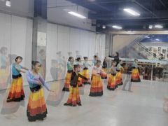 -舞蕾舞蹈(特长生校区)