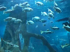 -福州罗源湾海洋世界旅游区