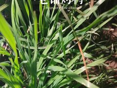 -北京老铺烤鸭(高新店)