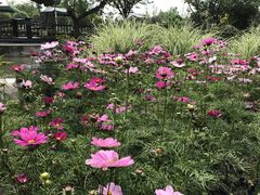 -洪湖家庭农场·团建·露营·会议