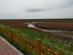 -红海滩国家风景廊道