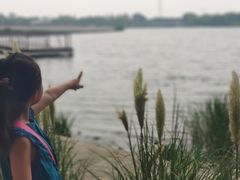 -嘉定凯悦·咖啡厅