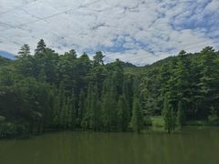 -广州市帽峰山景区