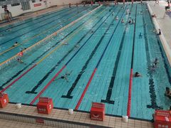 -南山文体中心-游泳馆