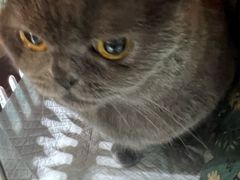 -心仪动物医院·牙专科·肿瘤·心脏科(西客站院)