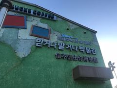 -信不信由你博物馆