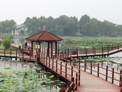 -白洋淀景区