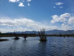 -野鸭湖国家湿地公园
