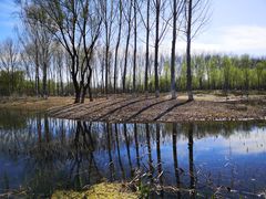 -东郊湿地公园