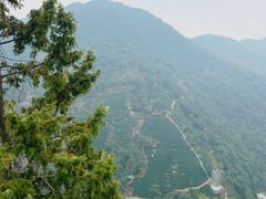 -午潮山国家森林公园