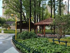 -宁波儿童公园(鄞州区)