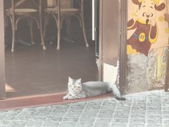 -猫岛主趣味餐厅(鼓浪屿店)