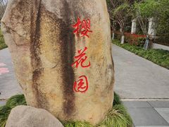 -高东镇樱花园