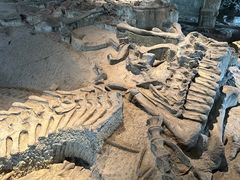 -自贡恐龙博物馆