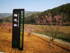 -龙寺生态园