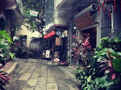 -小洲村
