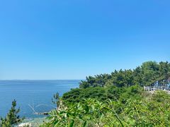-养马岛旅游度假区
