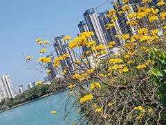 -厦门宝龙铂尔曼大酒店·海鲜自助餐厅