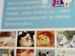 -伟伟宠物医院·瑞派猫友好医院·猫科(光谷店)