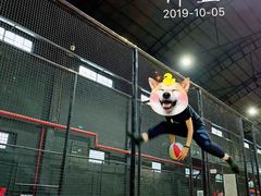 -嘿哟动霸CHUA·新潮玩运动娱乐中心·蹦床滑冰团建乐园