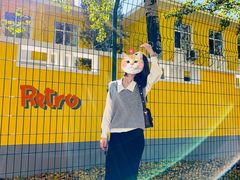 -三里屯东五街银杏大道