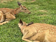 -清远熹乐谷温泉度假酒店