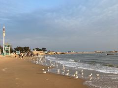 -老虎石海上公园