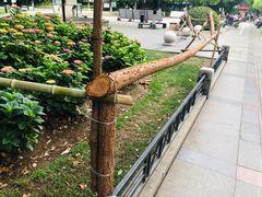 -常州古运河南大街文化旅游区-人民公园
