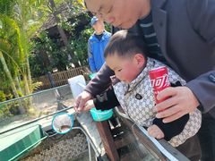 -灵玲国际马戏城