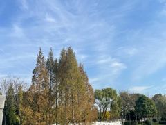 -尚贤河湿地