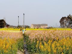 -中国天府农业博览园