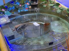 -火福·天湖阁大闸蟹博物馆主题餐厅(浅水湾店)