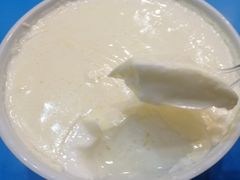 -德禄酸奶(莫家街店)