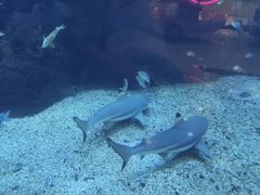 -鸿通城购物中心