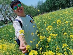 -天津武清北运河郊野公园房车露营地