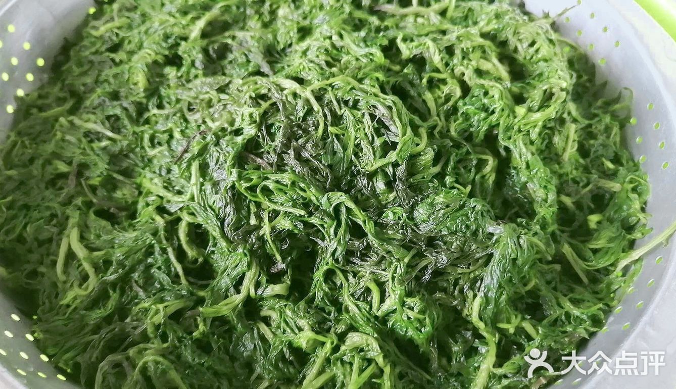 把春天端上餐桌啦！