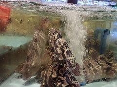 -阿伟海鲜楼·福建菜(延寿店)