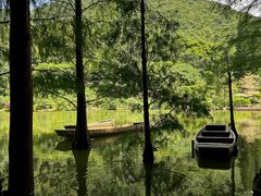 -深圳仙湖植物园