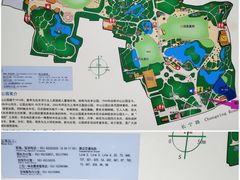 -中山公园