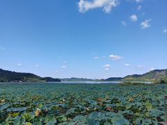 -东钱湖旅游度假区