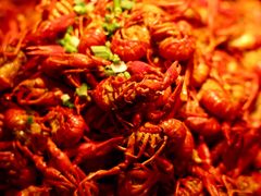 -常德武陵天济喜来登酒店-盛宴餐厅