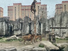 -上海野生动物园