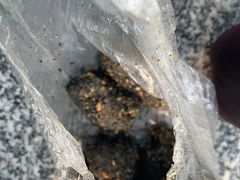 -叶氏麻糍(鼓浪屿店)