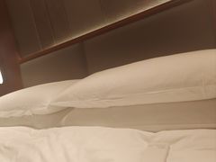 -上海雅居乐万豪侯爵酒店